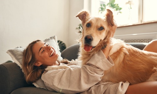 Happy pet with its owner 